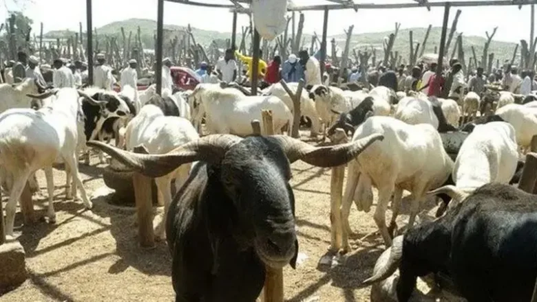 Babbar Sallah: ‘Yan Najeriya na kokawa kan tsadar dabbobi