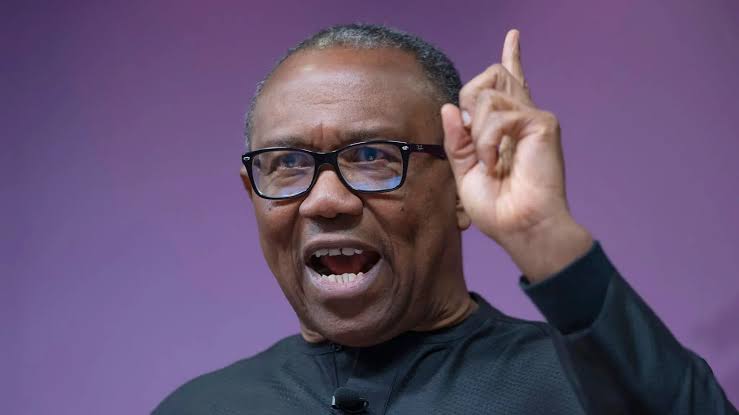 An soki Peter Obi saboda kiran ‘yan Bindigar Arewa ‘yan Ta’dda amma yaki kiran ‘yan IPOB da ‘yan ta’adda