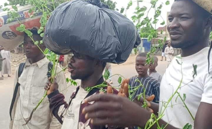 Ba Za Mu Koma Gida Ba Har Sai Taliya Ta Sauko, Vewar Wasu Matasa Masu Źanga-Źànga A Kano