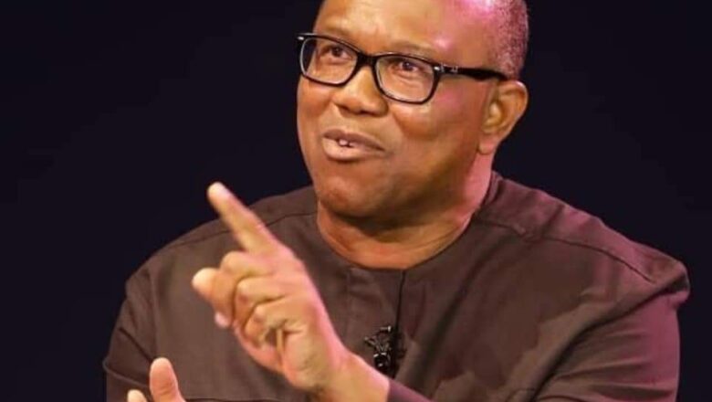 Na Shirya Na Zama Mataimakin Shugaban Kasa Idan Na Ga Wanda Zai yi da Kyau fiye Dani -Inji Peter Obi