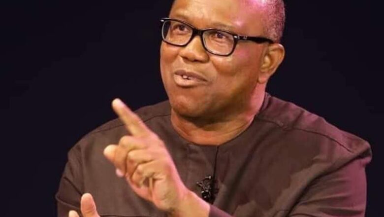 Ba zan taba sakin matata ba ko da kuwa na kamata tana cin amanata da wani namiji>>Inji Dan takarar shugaban kasa na Labour party, Peter Obi