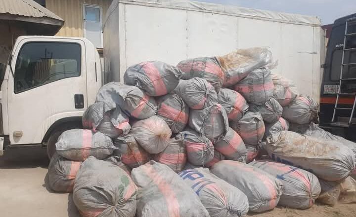 Hotuna: Hukumar NDLEA ta kama wani dan fim yana Safarar Kwàyà