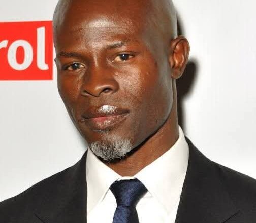 Na kwashe shekaru ashirin ina fim a Amurka amma har yanzu a talauce na ke – Djimon Hounsou