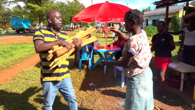 Allah Sarki:Kalli Yanda Wani tsohon Mataimakin Gwamna ya koma sana’ar sayar da itace