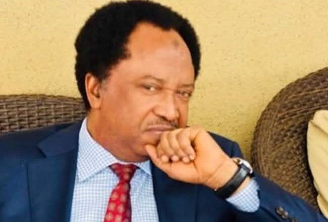 Bayan da ya koma APC, shugaba Tinubu ya baiwa Sanata Shehu Sani mukamin Jakada