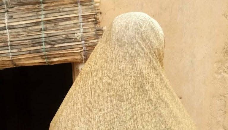 Ji yanda aka yi da Babbar mace me Danwake datawa yaro me shekaru 14 fyàdè a jihar Bauchi