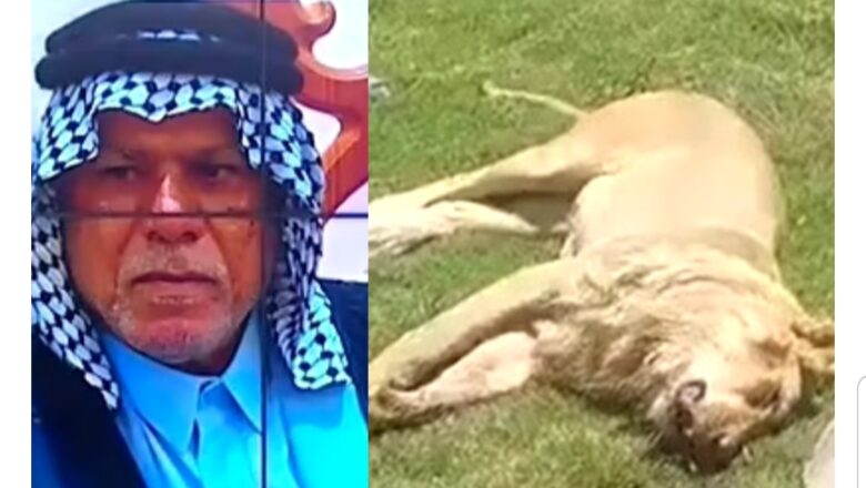 Zaki ya kàshè me gidansa balarabe ya kuma cinye gawar kwanaki kadan bayan da ya siyoshi ya rika wasa dashi a gida