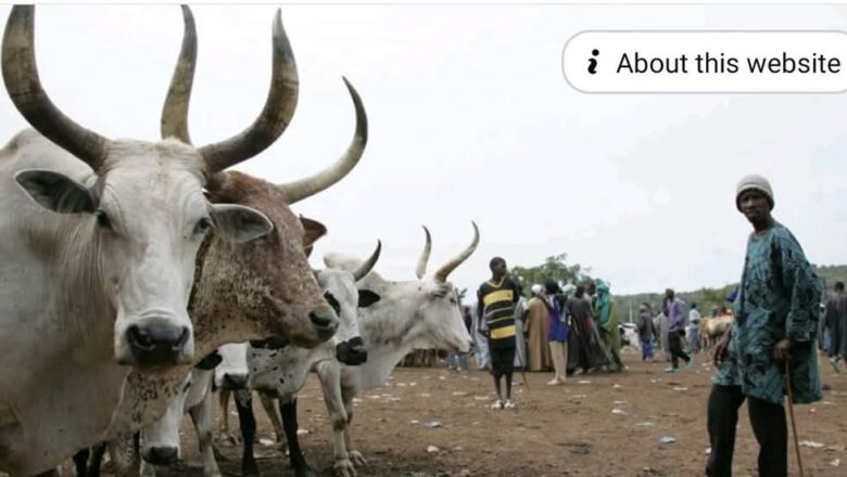 Gwamnatin Zamfara ta mayar da dabbobi 3,000 da aka sace ga asalin masu su