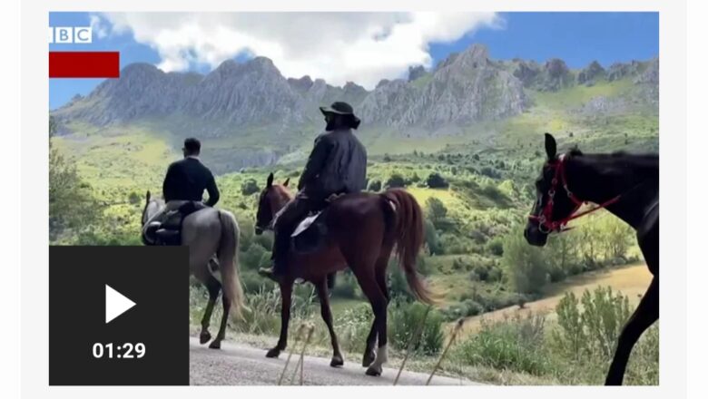 Mutanen da suka yi tafiyar wata bakwai kan doki domin zuwa aikin Hajji