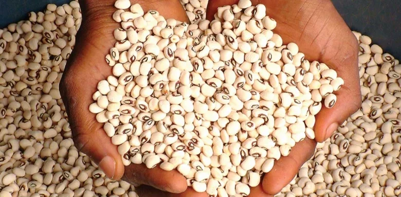 Ji ‘Dalilin da ya sa rabin farashin wake ya faɗi a Najeriya’