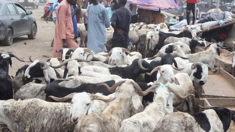 Masu raguna na kukan rashin ciniki a yayin da farashin ragunan ya yi tashi gwauron zabi