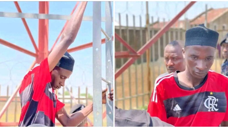 Wani matashi kenan daga cikin garin Bauchi, yayin da ya hau kan karfen wayar salula yace ba zai sauko ba sai Dr. Bala Wunti ya yarda zai yi takara