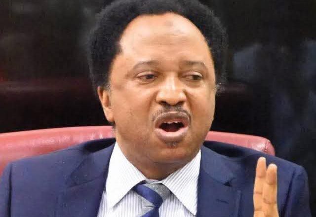 JANA’IZA: Marigayi Muhammadu Buhari Bai Taɓa Girmãma Køwa Kamar Yadda Shugaba Tinubu Ya Girmama Shi ba –Inji Shehu Sani