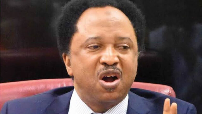Na yi amanna dari bisa dari Tinubu ne zai sake cin zabe a 2027, saboda babu wani dan takara me karfi da zai iya kayar dashi daga ADC>>Inji Sanata Shehu Sani