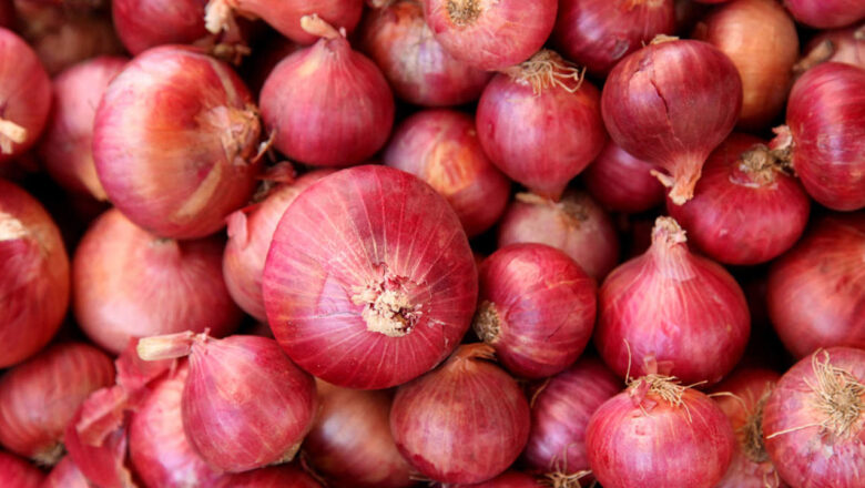 Da Duminsa: Za’a shigo da Albasa me yawa daga kasar Nijar wadda ake tsamanin zata sa farashin Albasa ya karye a Najeriya