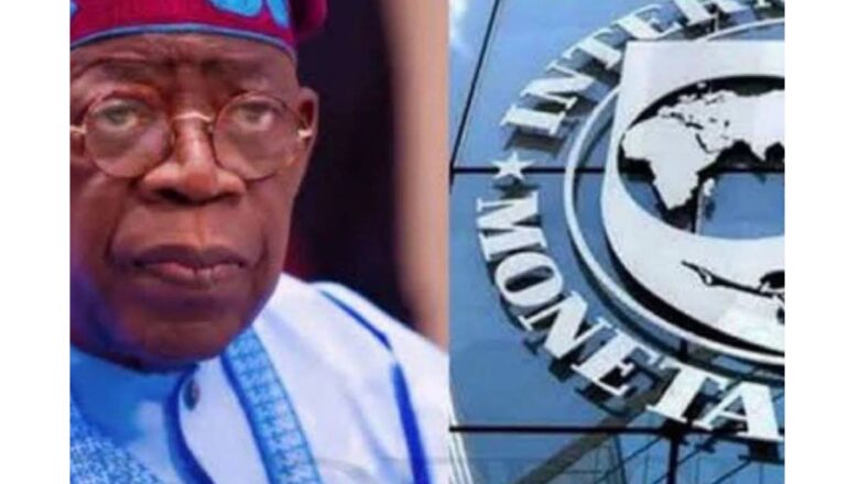 Kawai kuna son hada ni fada da ‘yan Najeriya ne, amma Ba fa zai yiyu in iya Gyara Najeriya a shekaru 2 ba>> Shugaba Tinubu ya gayawa IMF