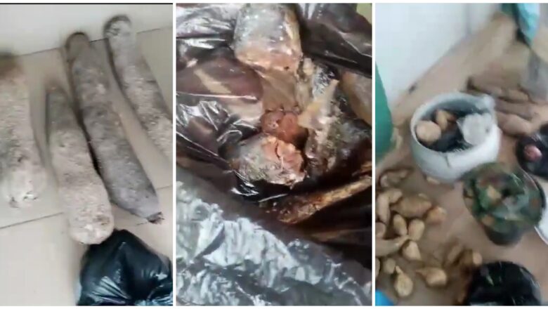 Kalli Bidiyo: Sojojin Najeriya sun nuna irin abinci dan kadan da aka basu bayan an turasu zuwa aikin tsaro na tsawon wata daya, da yawa sun tausaya musu