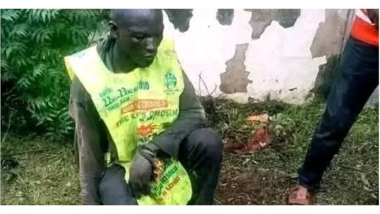 An Kàmà Shì Yana Yin Tsirè Da Naman Kàrè A Kanò