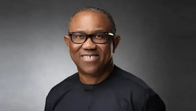 Ku zabeni, na yi Alkawarin wa’adi daya kawai zan yi in sauka>>Peter Obi