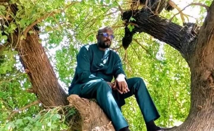 Dan Majalisa Mai Wakiltar Fagge Kenna A Zauren Majalisar Wakilai, Barista MB Shehu A Saman Bishiya Yana Sa Ido Kan Zaben CIke Gurbi Dake Gudana A Shanono