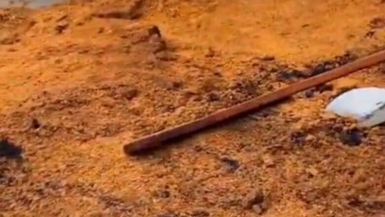 Kalli Bidiyon: Kwanaki 2 bayan kammala dafa shinkafa a Tukunya mafi girma a Duniya, Har yanzu akwai sauran shinkafar bata kare ba