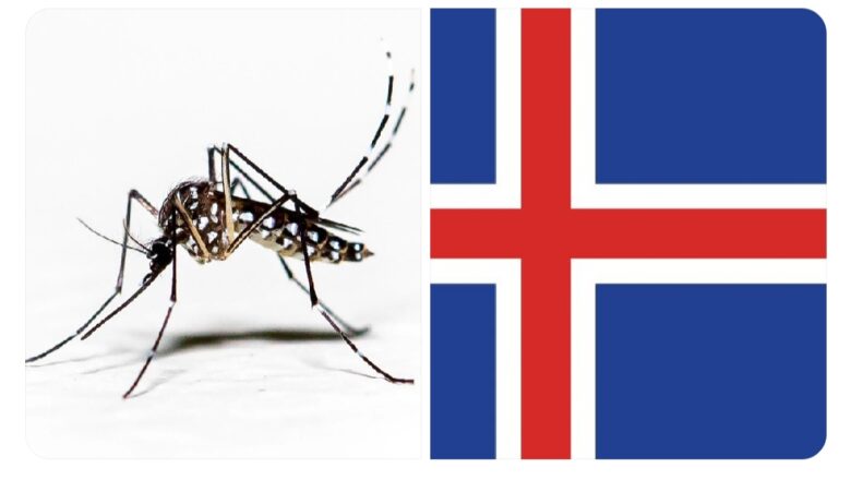 A karin farko, An ga Sauro a kasar Iceland