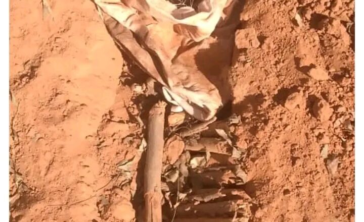 Kai Duniya: Ji yanda Wani Marar Imani ya tsallaka Maqabara ya Qàqùlò Qàbàrìn Jariri a Potiskum, Jihar Yobe