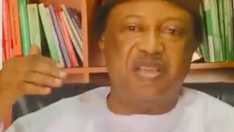 Tsynùwàr da El-Rufai yake yawan yiwa mutanene ta koma mai gida>>Inji Sanata Shehu Sani