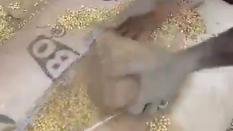 Ganin katon Dutse da aka yi Algush dashi a cikin buhun hatsi ya dauki hankula sosai