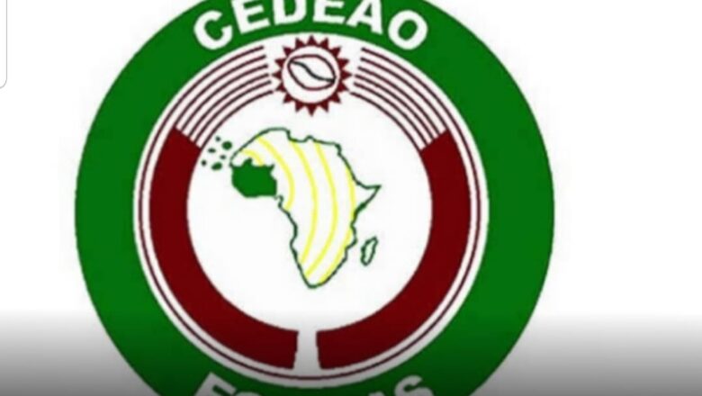 Da Duminsa: ECOWAS ta saka dokar ta baci a Afrika ta yamma saboda yawaitar Jhuyin mulki