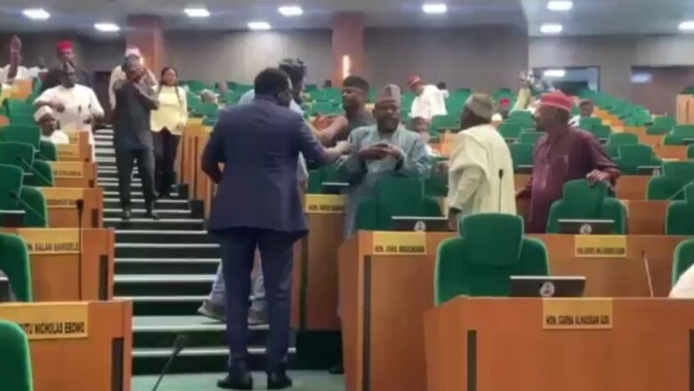 Kalli Bidiyon yanda hàtsànìyà ta kaure a majalisa aka so a baiwa Hammata Iska saboda gayyatar gwamnan CBN saboda batan Naira Triliyan 11>>Wasu ‘yan majalisar sun yadda a gayyaceshi inda wasu suka ce basu yadda ba