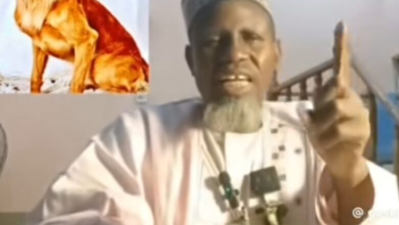 Kalli Bidiyon: Wallahi da ka rayu a matsayin dan Darika ka koma ga Allah kana dan Darika, gara A halliceka a kàre, Ka rayu a kare kana hàùshì, ka kuma koma ga Allah a matsayin kàrè>>Inji Wannan malamin