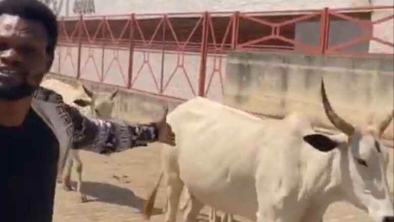 Kalli Bidiyon: Yanda wasu ‘yan Kudu ke kokawa bayan ganin Shanu a kofar Cibiyar Kasuwanci ta Duniya dake Abuja