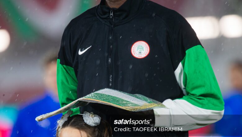 Kalli hoto: Dan kwallon Najeriya, Wilfred Ndidi ya dauki Hankula saboda baiwa Wannan yarinyar Kariya daga ruwa