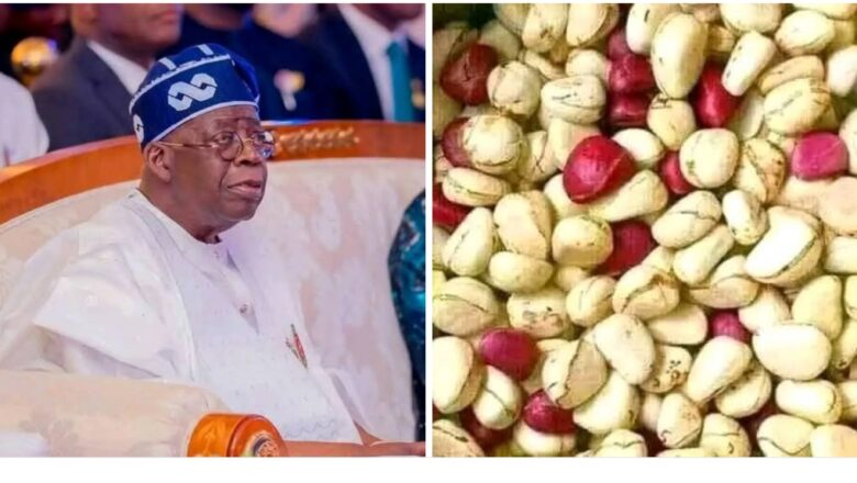 TIRKASHI: WANI UBA YA FASA BA DA AUREN YARSA A JIGAWA KAN GOYON BAYAN TINUBU DA SAURAYIN KE YU A KAFAFEN SADA ZUMUNTA