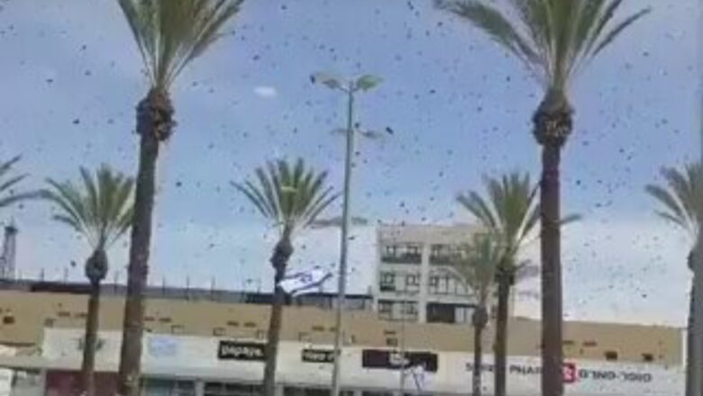 Allah me Iko:Kalli Bidiyon yanda dandazon kudan zuma ya mamaye wasu sassa na kasar Israyla