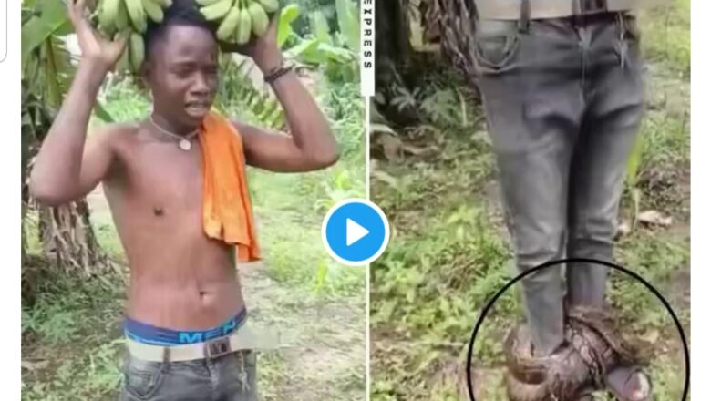 Kalli Bidiyon: Yanda Maciji ya nade kafar wani barawo ya hanashi guduwa bayan da ya saci Ayaba a Gonar wani Boka