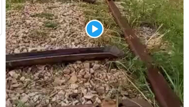 Allah Sarki: Kalli Bidiyon yanda aka bar aikin jirgin kasa daga Najeriya zuwa Maradi wanda shugaba Buhari ya fara ya lalace