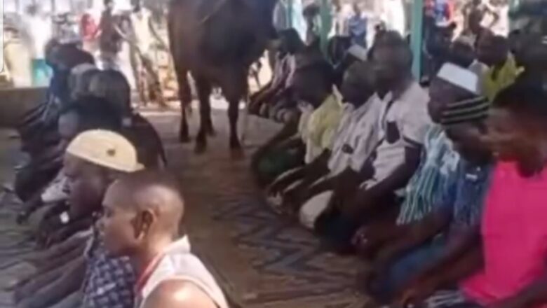 Kalli Bidiyon: Yanda ta kaya bayan da wani Mahaukaci Saa ya kucce ya shiga masallaci ana tsaka da sallah